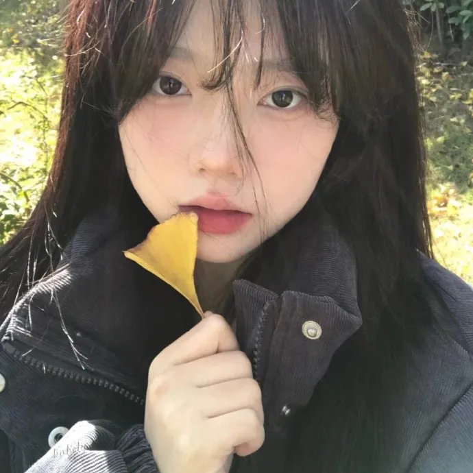 江湖小龙侠