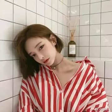 夏树